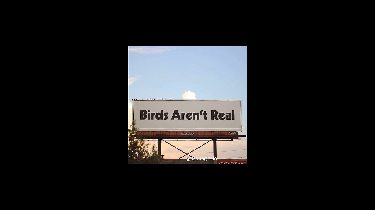 Birds aren’t real these days