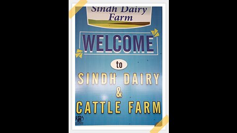 SINDH DAIRY CATTLE FARM