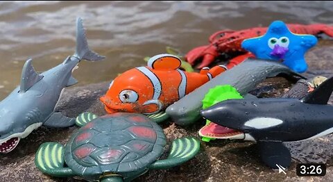 Sea_ animal toys in summer