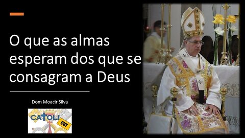 CATOLICUT - O que as almas esperam dos que se consagram a Deus