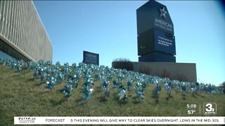 Pinwheels in Omaha highlight Child Abuse Awareness Month