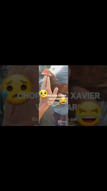 CHOREI quando Um dos pintos dos olhos azuis foi embora 😥Xavier levou