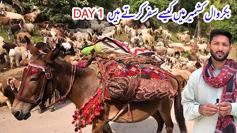 How Bakrwals Travel in Kashmir | Khana Badosh Life | Day 1