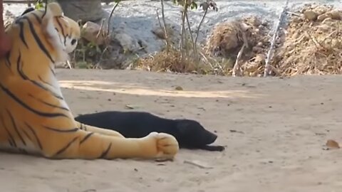 Prank with Dogs with Fake lion and tiger ..