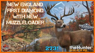 FIRST New England Diamond - Using Our NEW Muzzleloader - theHunter: Call of the Wild