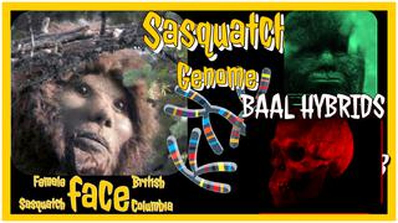 BAAL HYBRIDS PART 3-The Sasquatch Genome