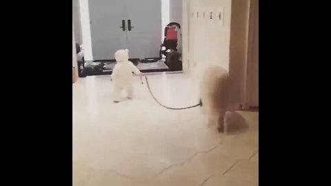 The cutest walk in the world✨