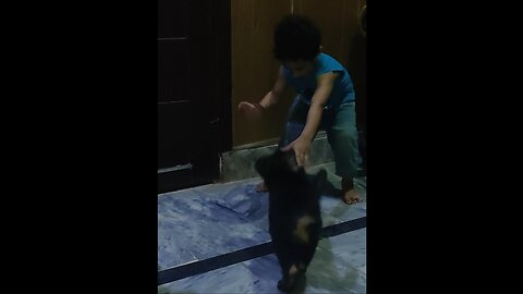 Respected Dog save the owner kid