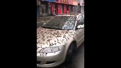 WATCH: China citizens told to find shelter after it looked like it started to rain worms.