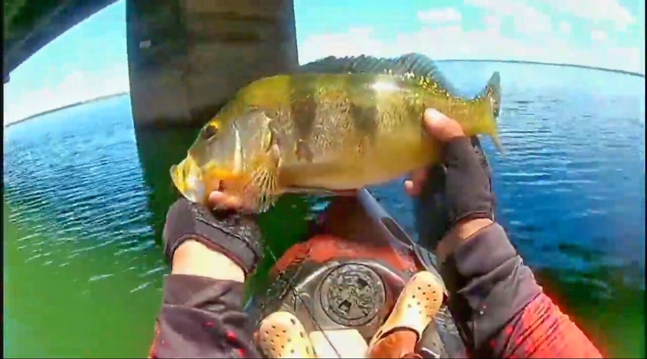 #5 Fishing Peacock Bass on the Bridge Pillar - Kayak Fishing - Ultralight Fishing - Pesca de Tucunaré