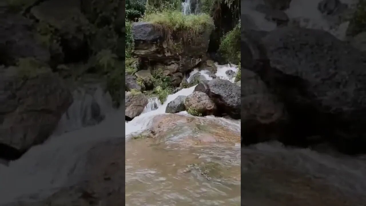 Beautiful 💦 waterfall and river beside Munar,#shorts,#waterfall,#waterfallsounds,#tourvlog,#nature