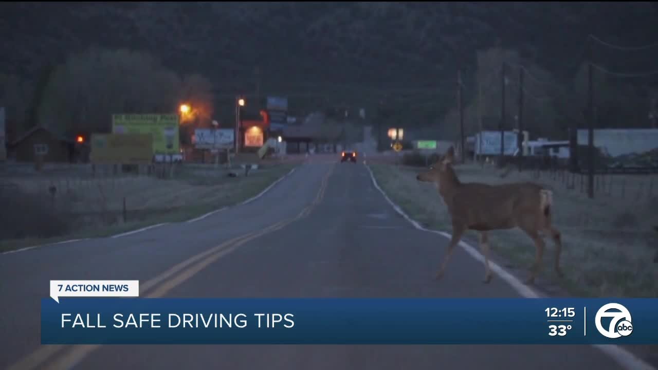 Fall safe driving tips