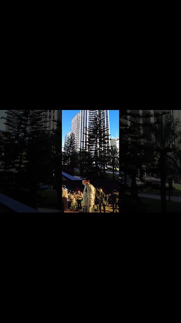 BRISBANE CITY WALKING TOUR EXPERIENCE || QLD - Australia