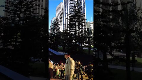 BRISBANE CITY WALKING TOUR EXPERIENCE || QLD - Australia