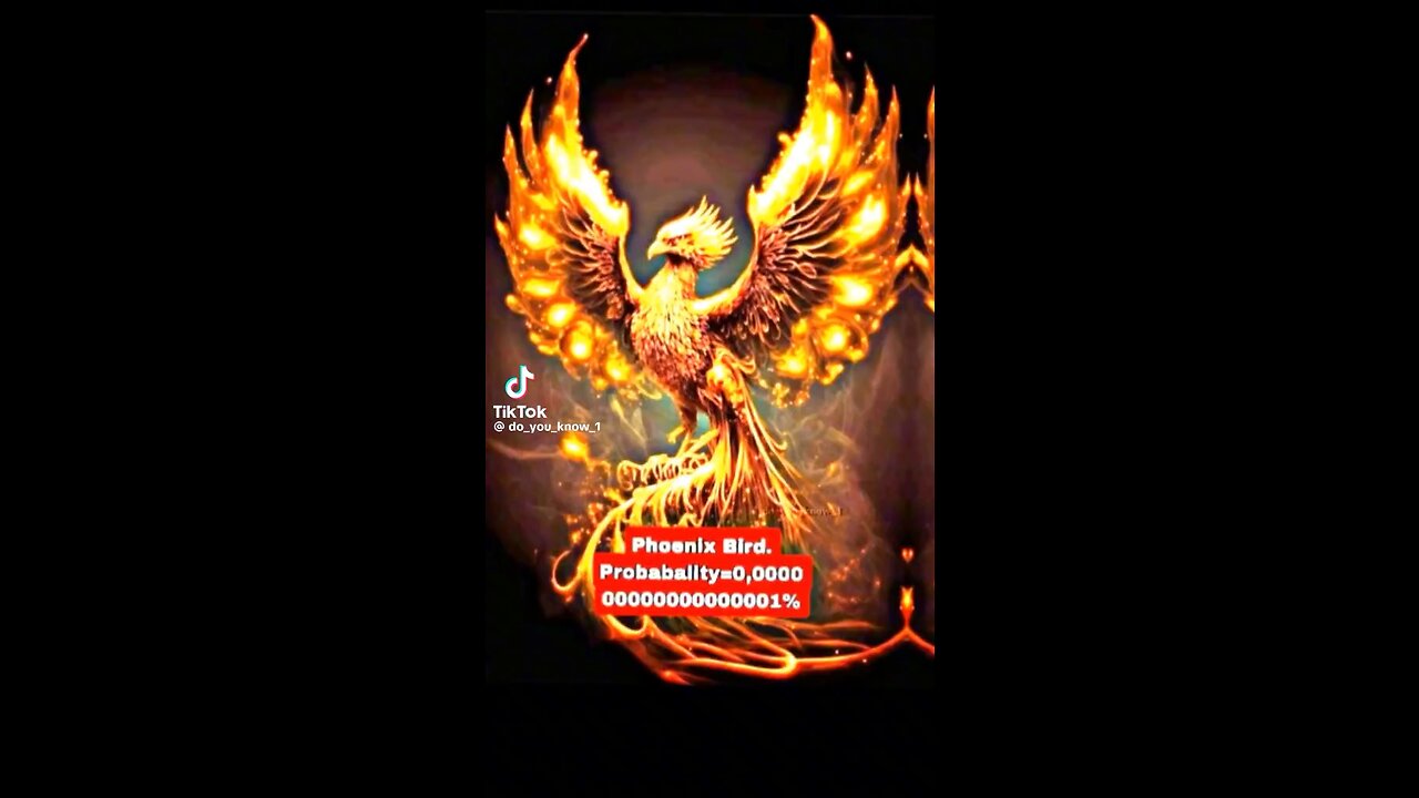 Do you know😱😱 || phoenix bird || myths of world