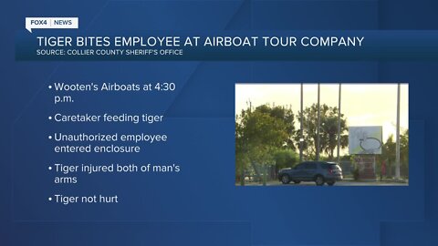 Tiger attack at Wooten's Airboats