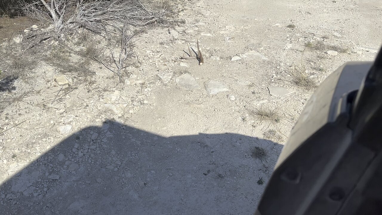 Awesome shed find at the ranch
