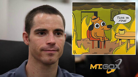 Roger Ver tells his followers the MTGOX Bitcoin Exchange is just fine! 🪙🏦📉💥