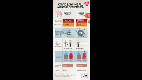 Swine flu epidemic