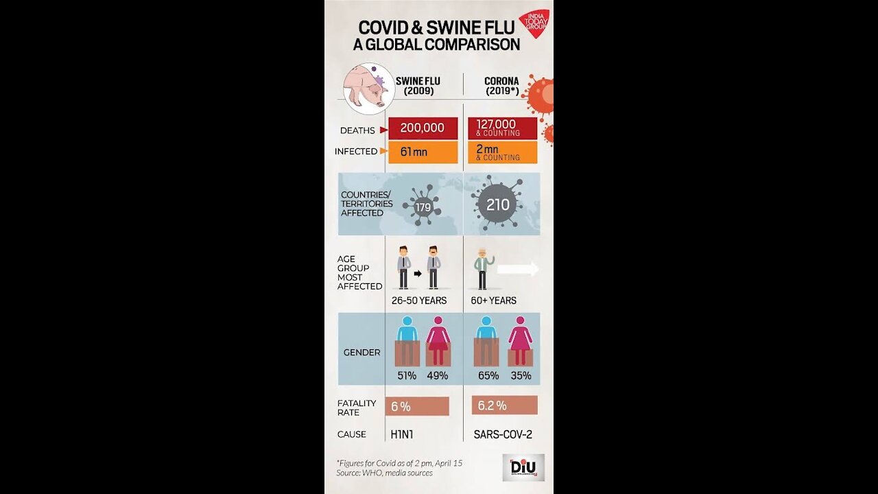 Swine flu epidemic