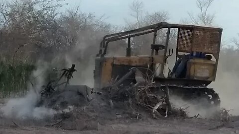 Trator de esteira fazendo a testoca do terreno para gradear a terra