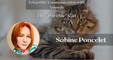 The ''Psychic'' Cat