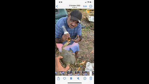 Funny crab video 🦀 Drunk man grabs a crab 🦀
