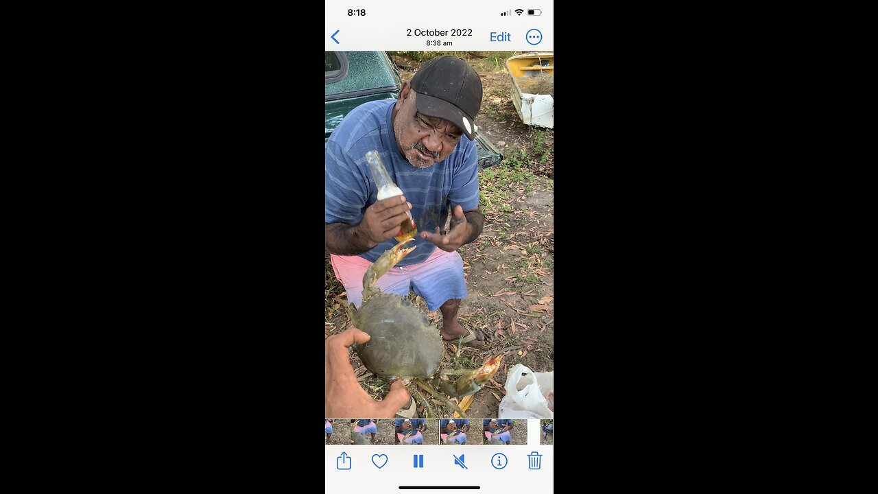 Funny crab video 🦀 Drunk man grabs a crab 🦀