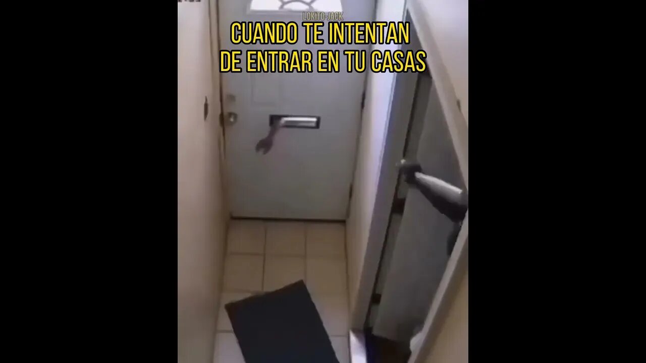 QUANDO LADROES TENTAM ENTRAR NA SUA CASA O MELHOR ALARME DO MUNDO ( MEME ) ( VIRAL ) #shorts