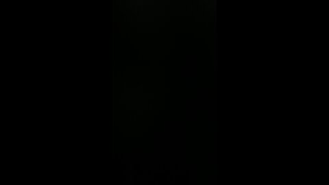 Kari lake stands strong