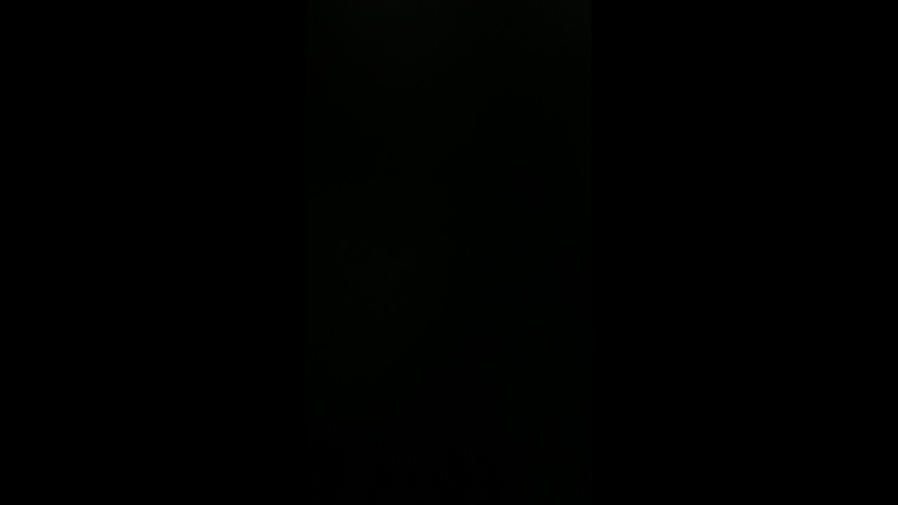 Kari lake stands strong