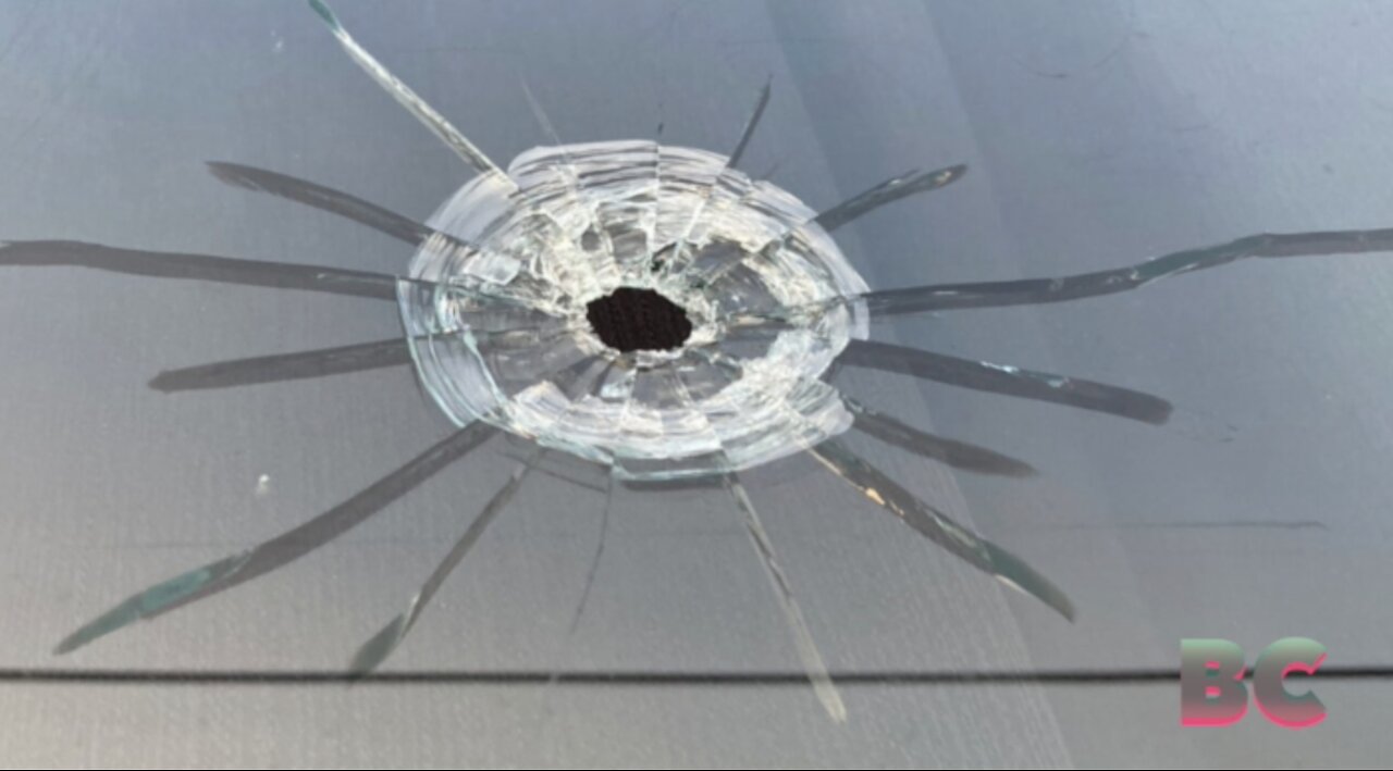 Police say 89 shell casings were found in the deadly Alabama Sweet 16 party