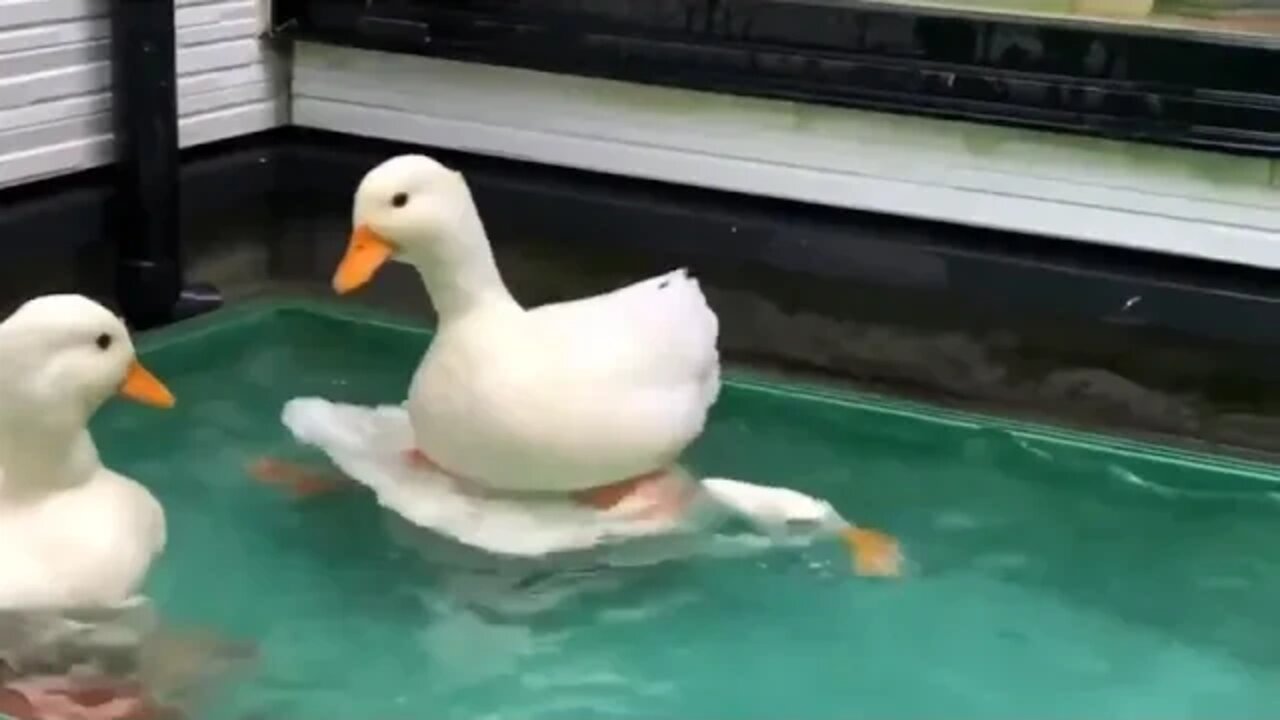 Oscar never came to terms with his daughter growing up