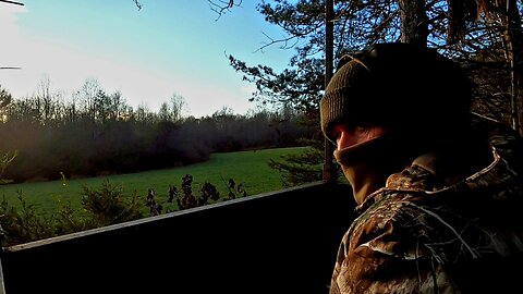 Deer Season 2022 Day 8 and 9 - Box Stand - Kruz Joins Us