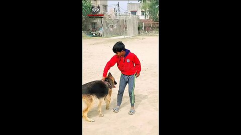 happy playing 😍❤️🐕