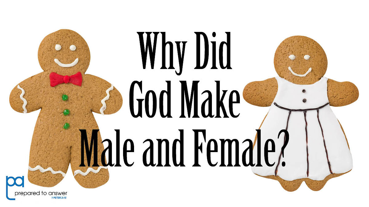 Why Did God Create Male and Female?