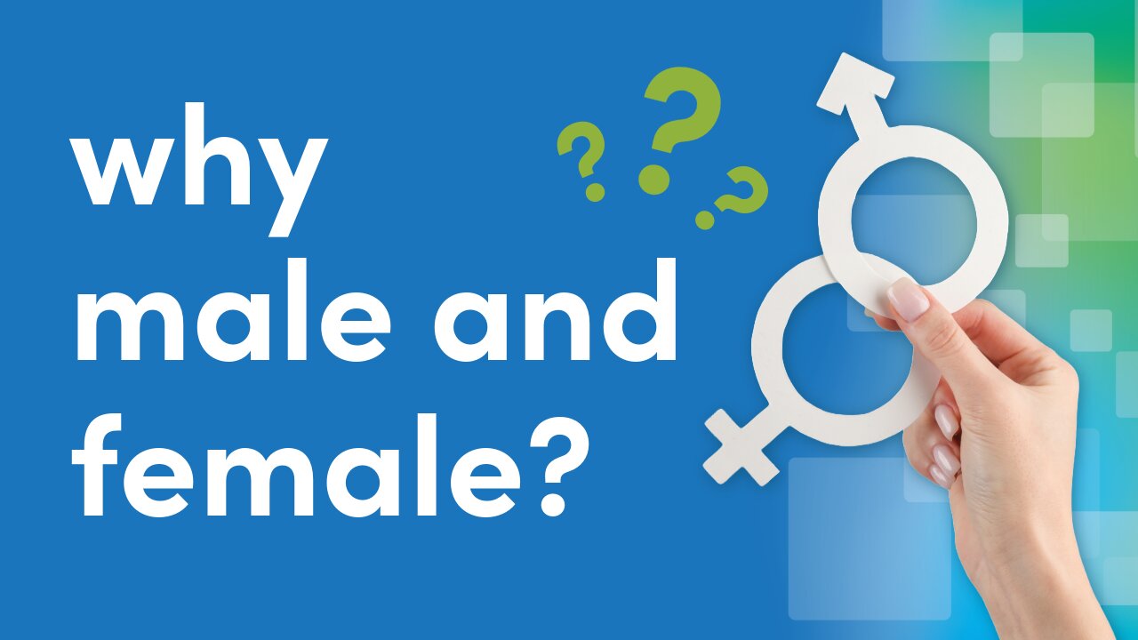 Why Did God Create Male and Female?
