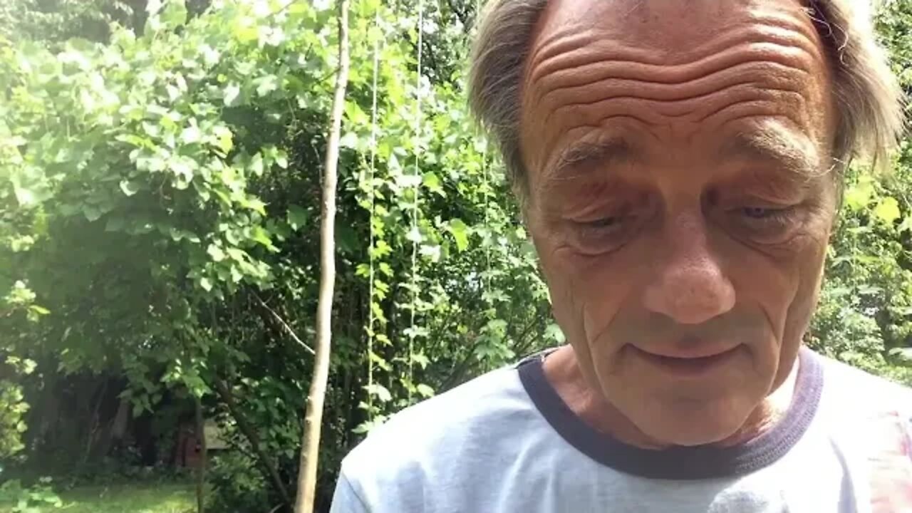 "Wer ist hier VERRÜCKT?" (ungeordnete Gedanken über Evidenz und Wahnsinn)