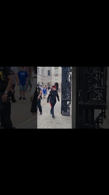 checking the Horse after it fell down #horseguardsparade