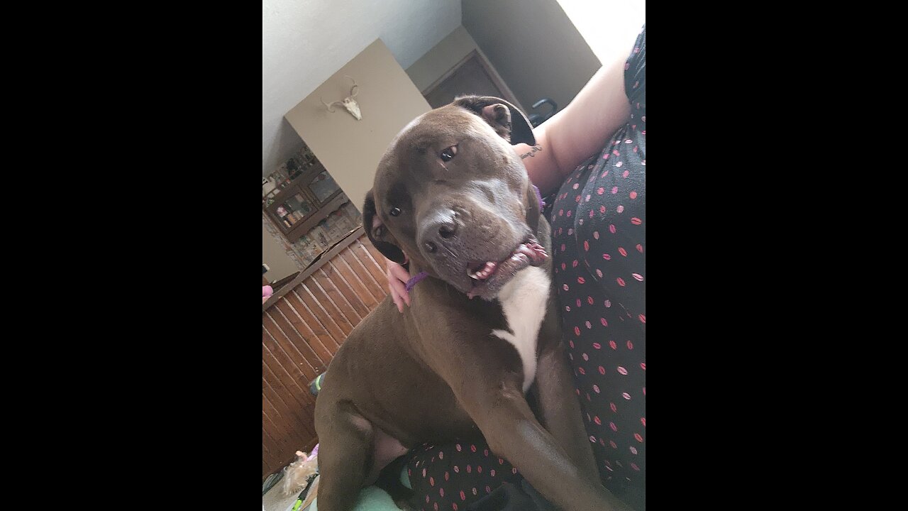 My family issues and last video with my best friend.