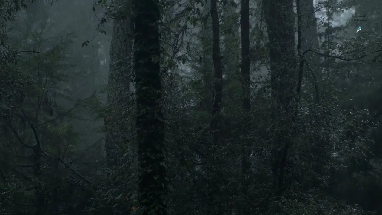 Rain in the Rainforest Sounds that will Make you Fall Asleep within 10 Minutes