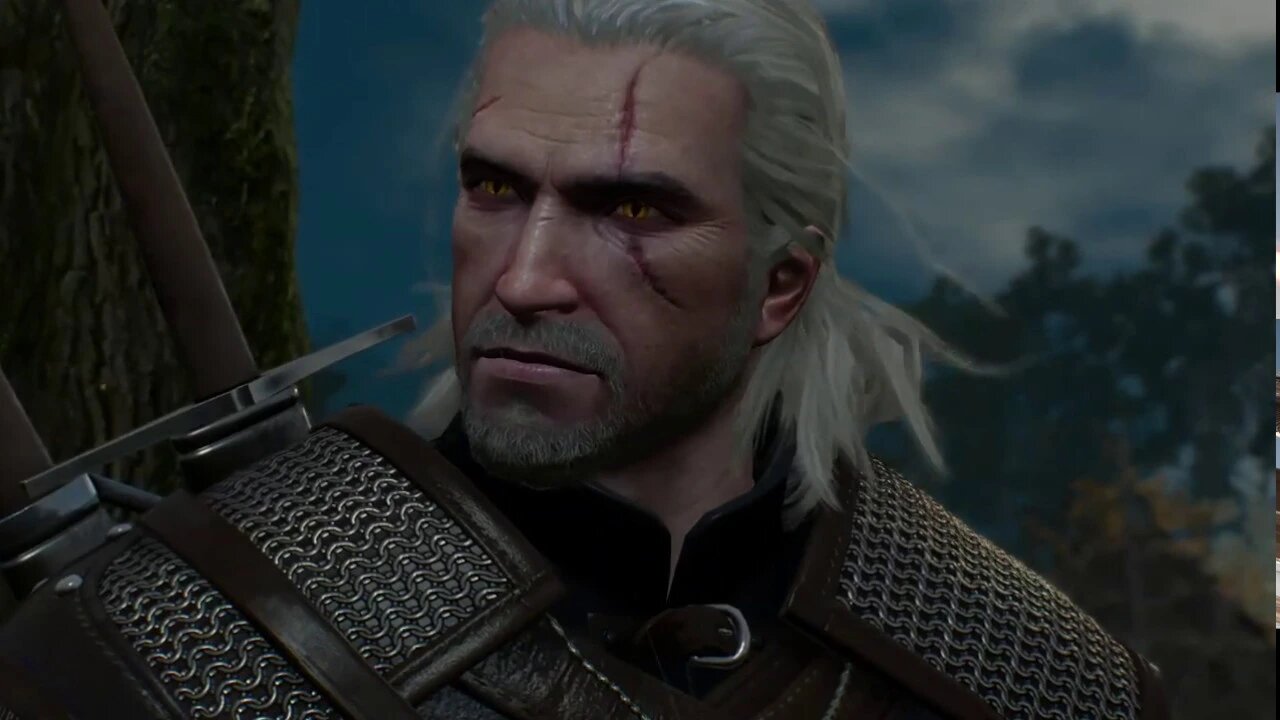 The Witcher 3 #3