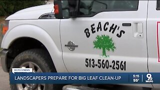 Landscapers prep for big leaf clean-up