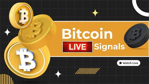 Live Bitcoin Trading Signals! - Up 50% so far!