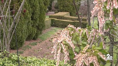 Ladew Topiary Gardens set to reopen in Harford County