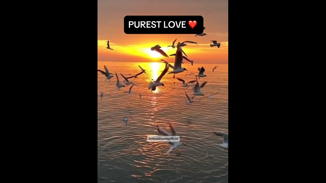 PUREST LOVE♥️