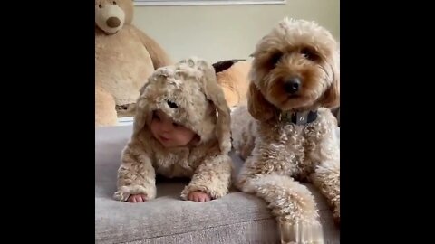 Which one is fake? ❤️😂😂