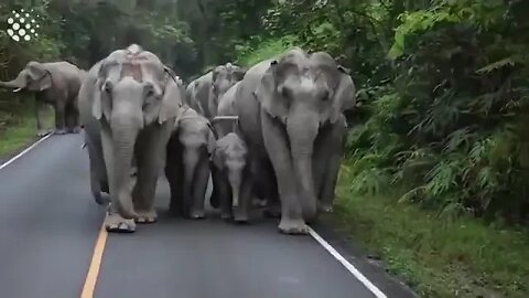 Morning Patriots🔥Babies are protected in the middle!