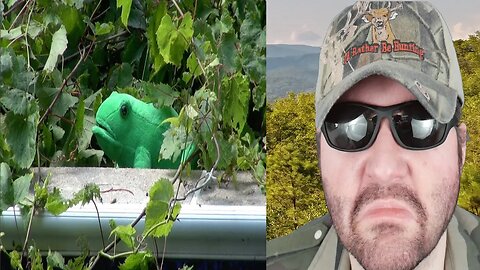 Giant Frog Attack - Captured On Video (Butchy Kid Videos) - Reaction! (BBT)