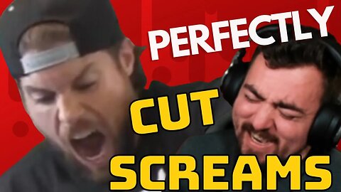 These are some PERFECTLY cut screams!